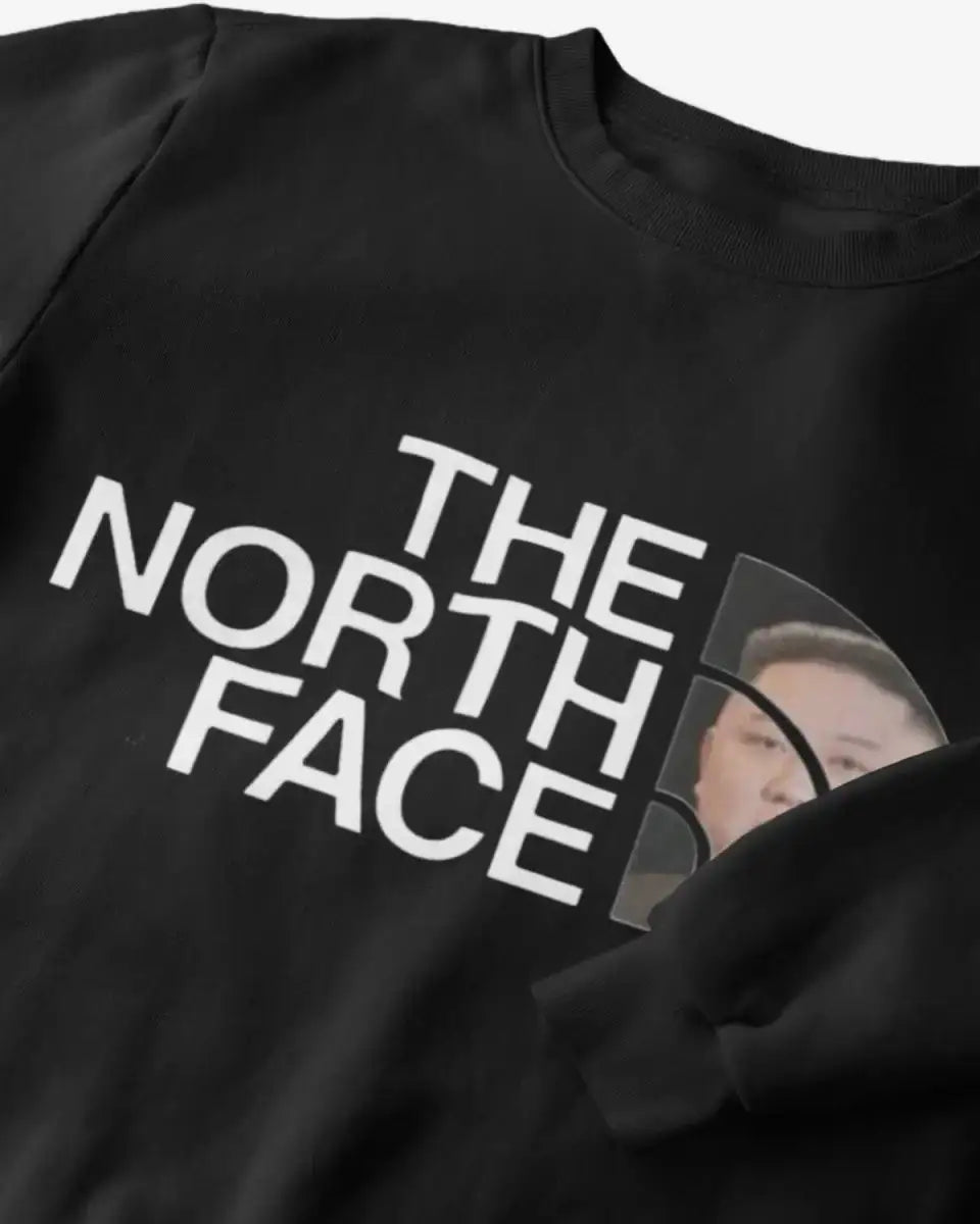 S309 - Sweatshirt - The North Face - Funny Outfits