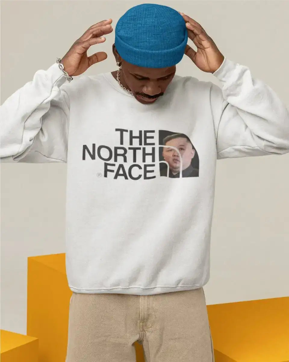 S309 - Sweatshirt - The North Face - Funny Outfits