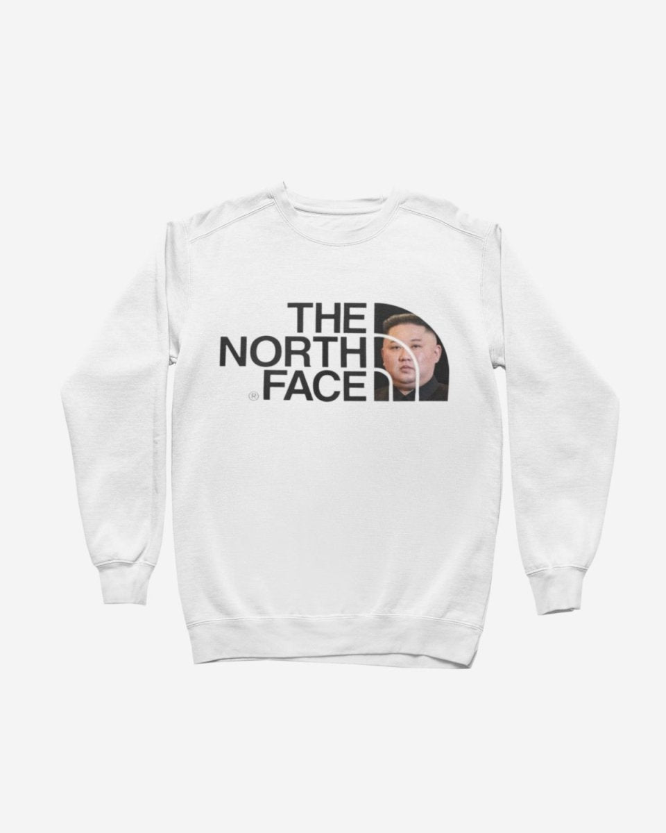 S309 - Sweatshirt - The North Face - Funny Outfits